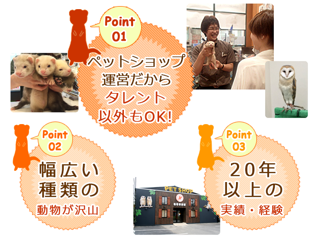 ペットショップ運営だからタレント以外もＯＫ。
